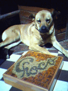 Csokis doboz